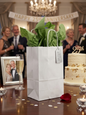 5x3x8 white kraft gift bag styled in use